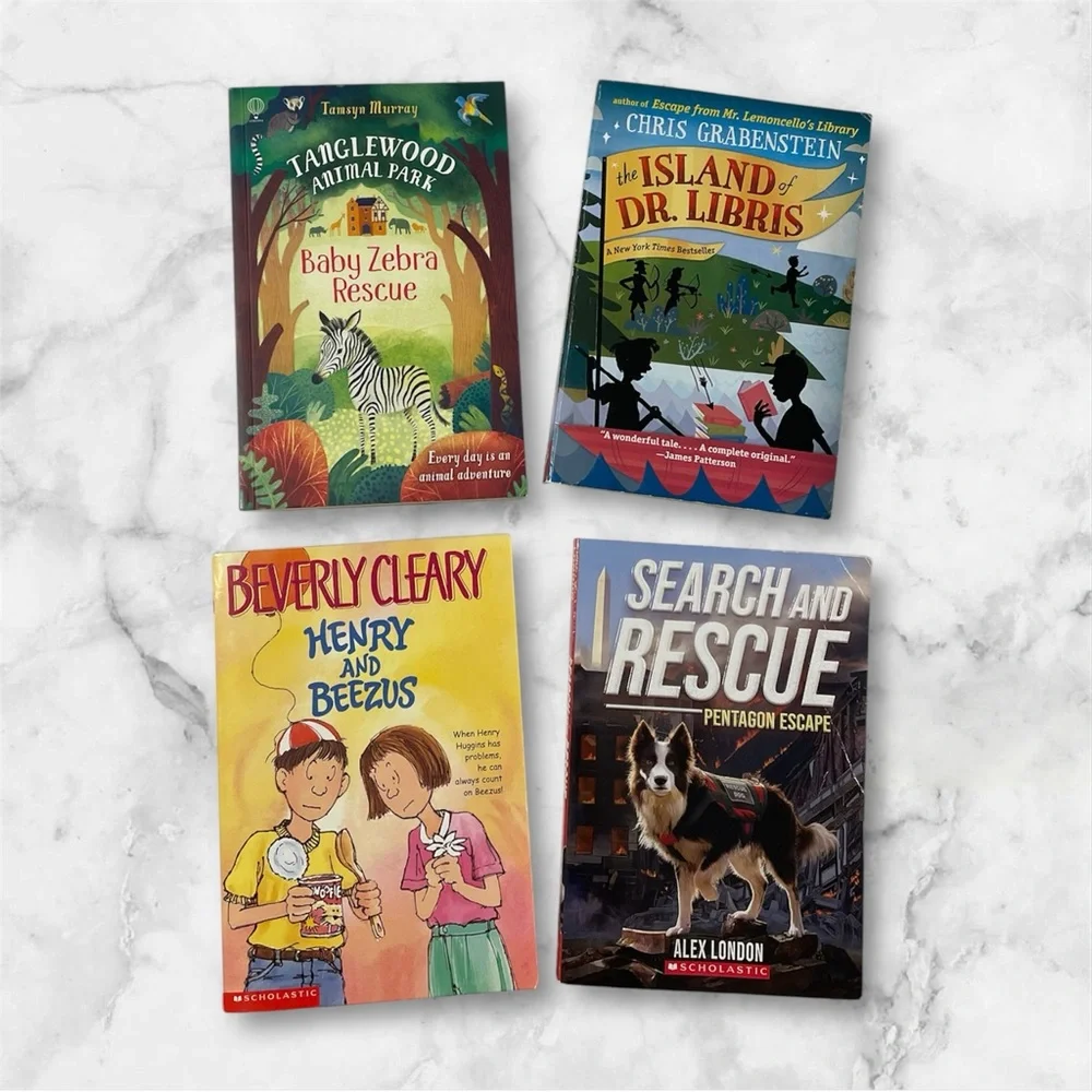 Set of 4 Children's Adventure Books